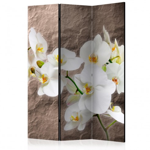 Paravan  Impeccability of the Orchid [Room Dividers]