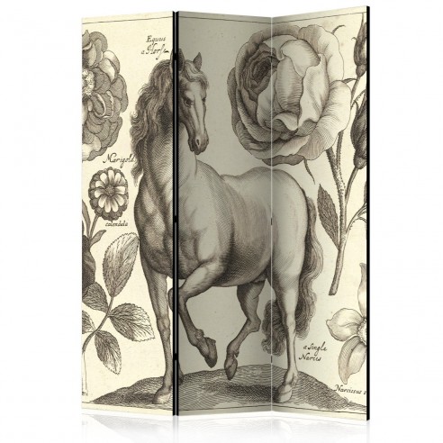 Paravan  Horse [Room Dividers]