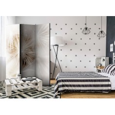 Paravan  Subtleness [Room Dividers] 2