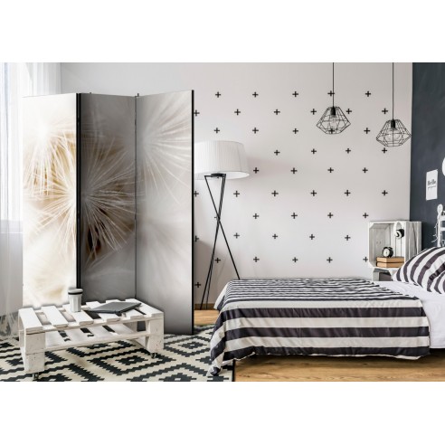 Paravan  Subtleness [Room Dividers]