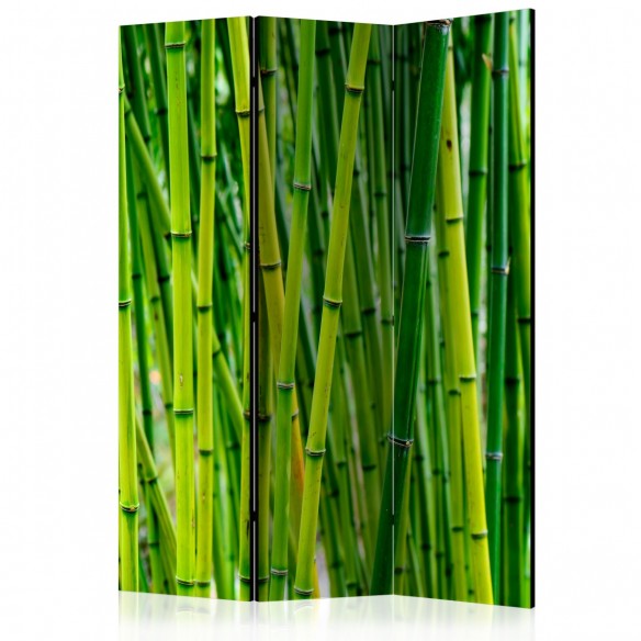 Paravan  Bamboo Forest [Room Dividers]