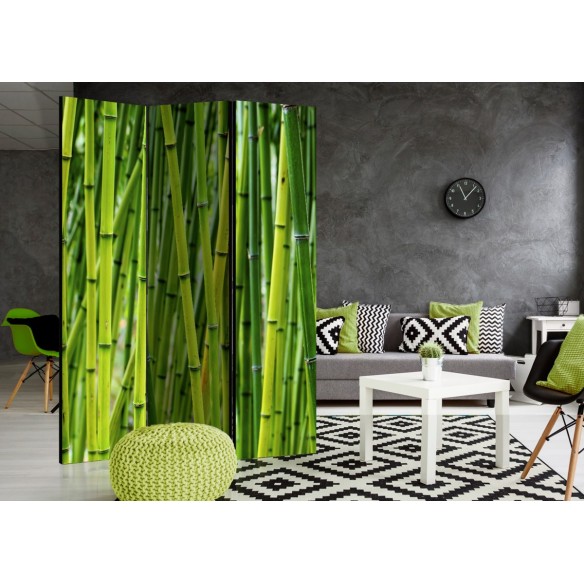 Paravan  Bamboo Forest [Room Dividers]
