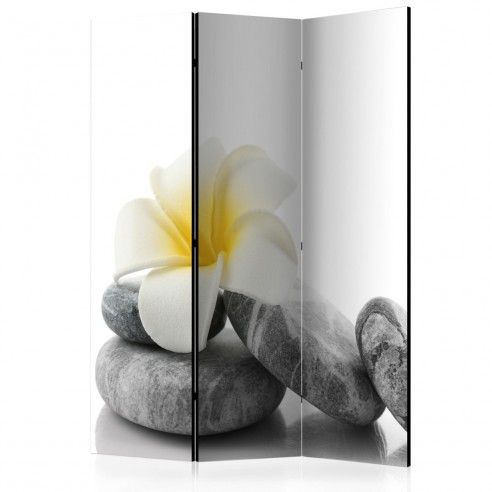 Paravan  White Lotus [Room Dividers]