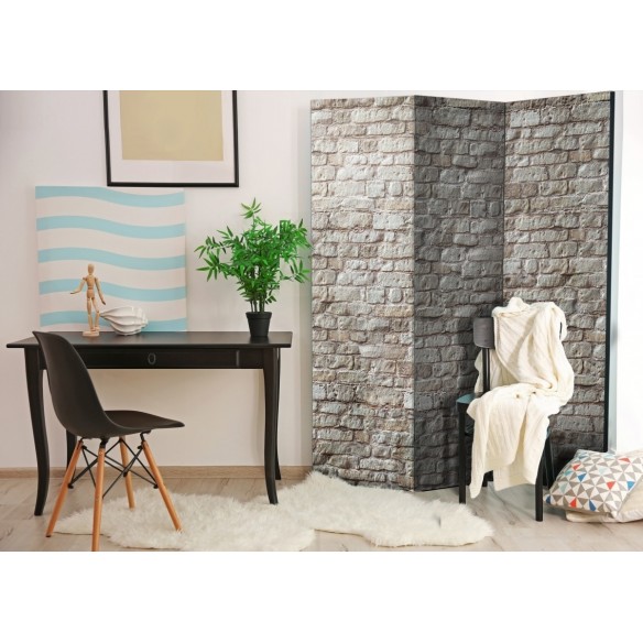 Paravan  Reality [Room Dividers]