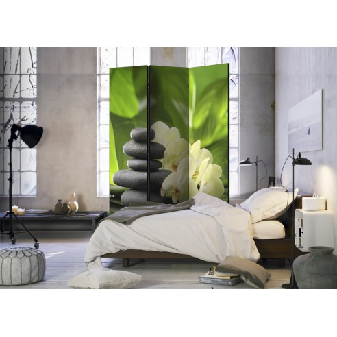 Paravan  Spa Garden [Room Dividers]