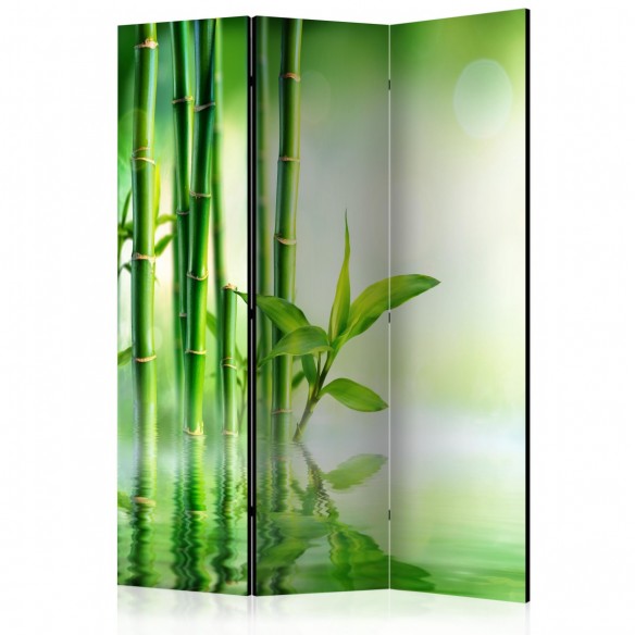 Paravan  Green Bamboo [Room Dividers]