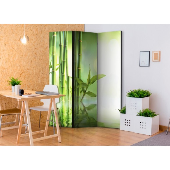 Paravan  Green Bamboo [Room Dividers]