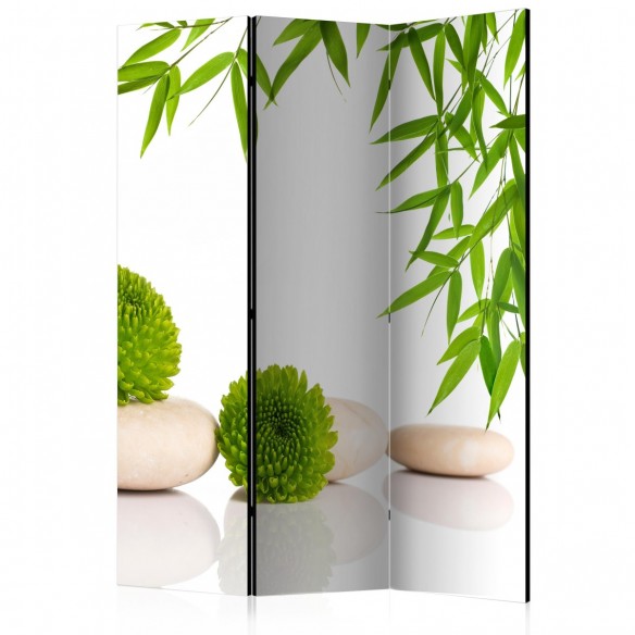 Paravan  Green Relax [Room Dividers]