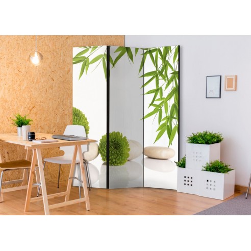 Paravan  Green Relax [Room Dividers]