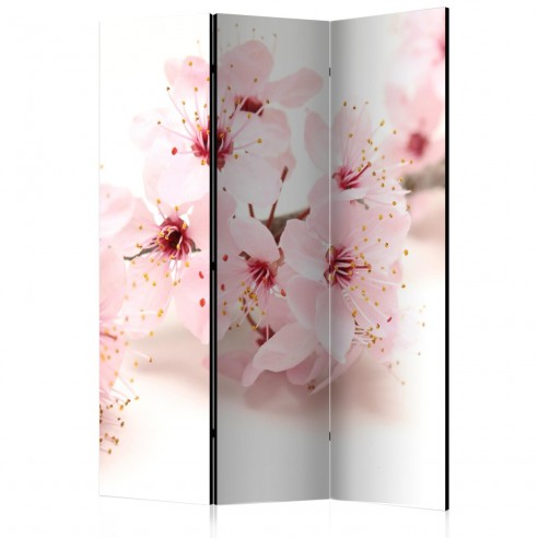 Paravan  Cherry Blossom [Room Dividers]