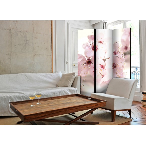 Paravan  Cherry Blossom [Room Dividers]