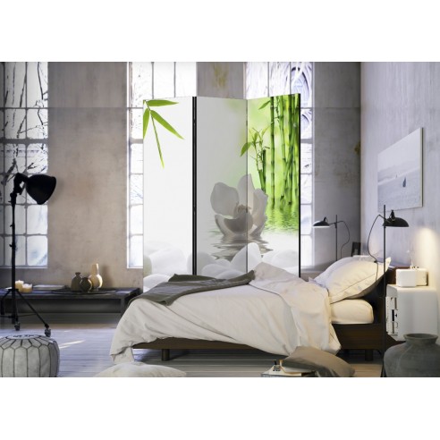 Paravan  Lake of Silence [Room Dividers]