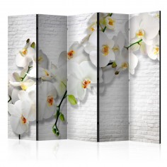 Paravan  The Urban Orchid II [Room Dividers]