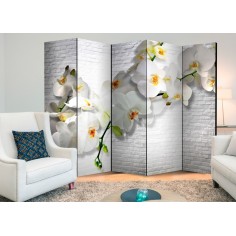 Paravan  The Urban Orchid II [Room Dividers] 2