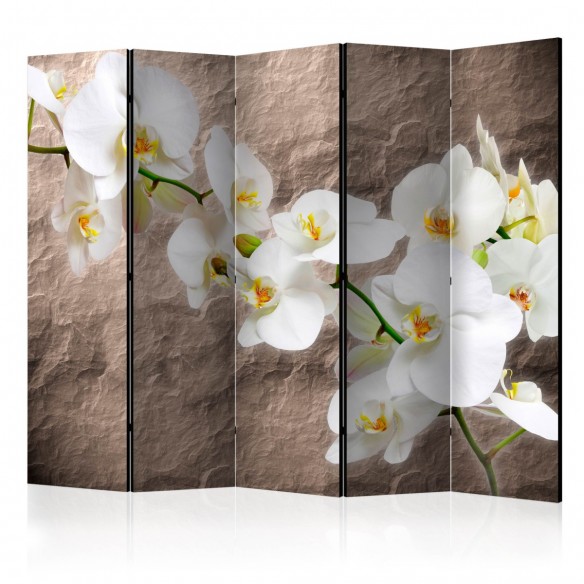 Paravan  Impeccability of the Orchid II [Room Dividers]