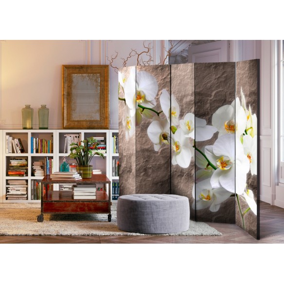 Paravan  Impeccability of the Orchid II [Room Dividers]