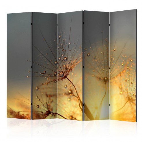 Paravan  Summer Solstice II [Room Dividers]