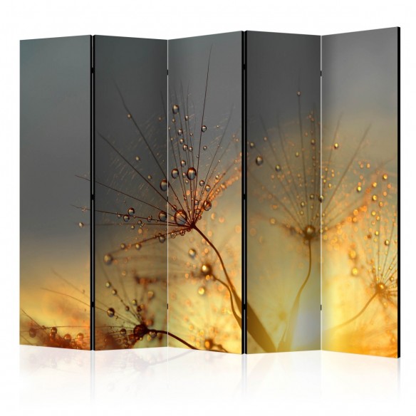 Paravan  Summer Solstice II [Room Dividers]