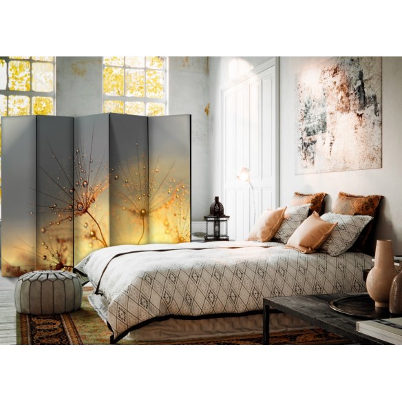 Paravan  Summer Solstice II [Room Dividers]