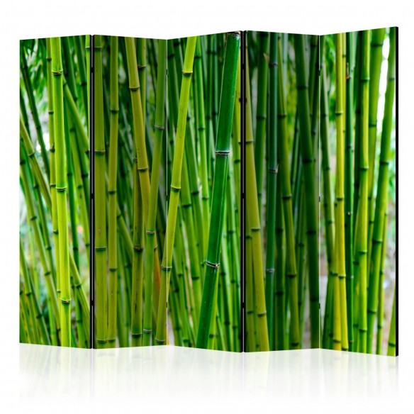 Paravan  Bamboo Forest II [Room Dividers]