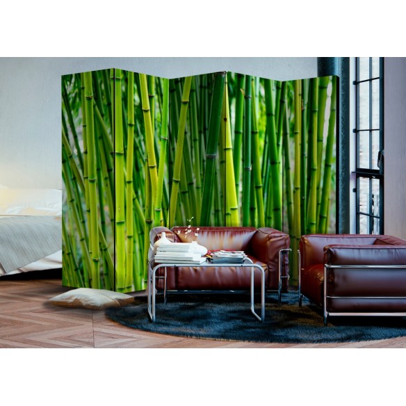 Paravan  Bamboo Forest II [Room Dividers]