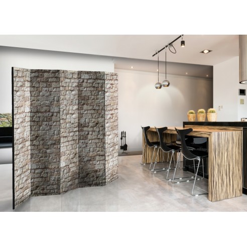 Paravan  Reality II [Room Dividers]