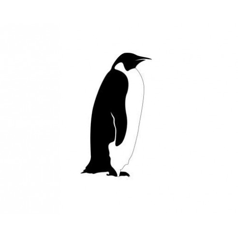 Sticker decorativ Pinguinul mare