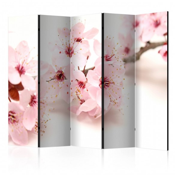 Paravan   Cherry Blossom II [Room Dividers]