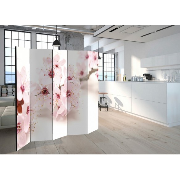 Paravan   Cherry Blossom II [Room Dividers]