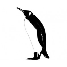 Sticker decorativ Pinguinul suparat 2