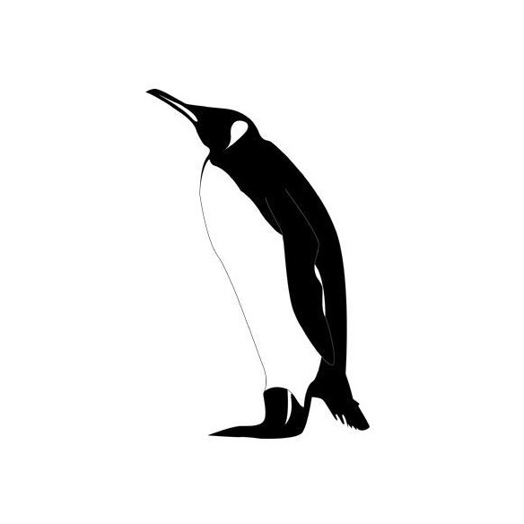 Sticker decorativ Pinguinul suparat