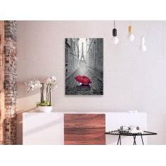 Set pictura pe numere  Paris (Red Umbrella) 2