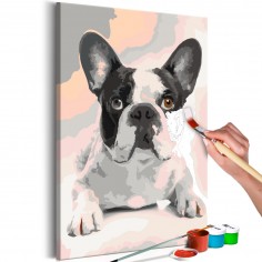 Set pictura pe numere  French Bulldog