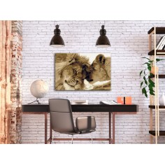 Set pictura pe numere  Lions In Love 2