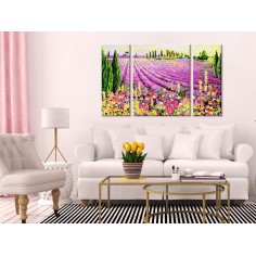 Set pictura pe numere  Lavender Field 2