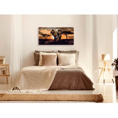 Set pictura pe numere  Elephant in Africa (Brown Colours) 2