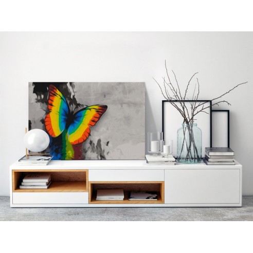 Set pictura pe numere  Colourful Butterfly