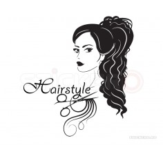 Sticker pentru frizerie/ coafura HairStyle 2