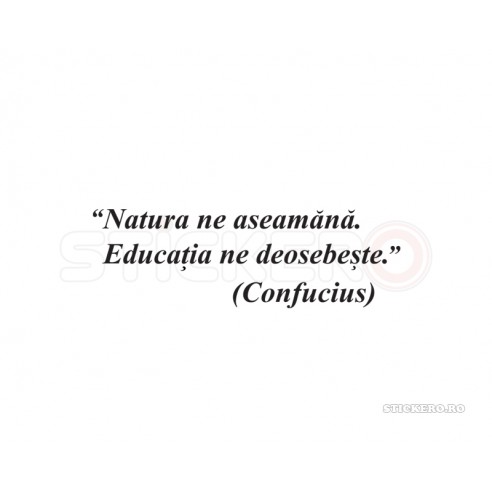 Sticker citat- Despre educatie, 200x65 cm