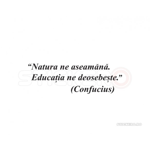 Sticker citat- Despre educatie, 200x65 cm