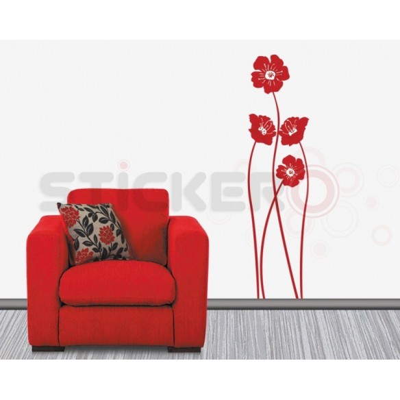 Set de maci