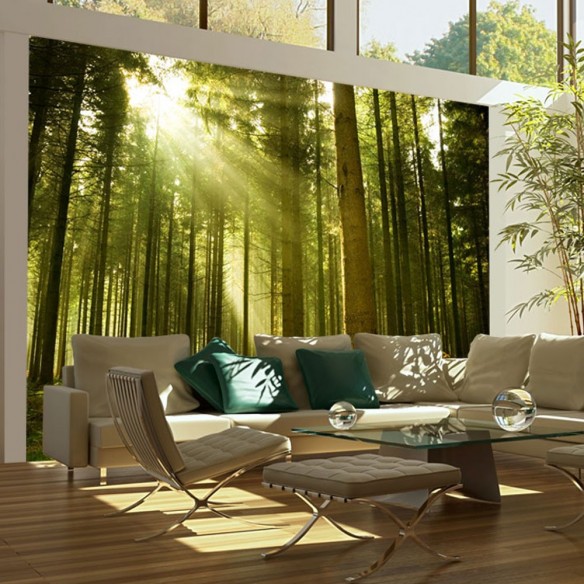 Fototapet  Pine forest