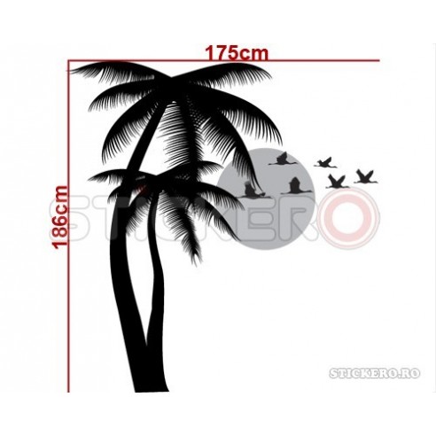 Palmieri, pasari, soare - peisaj tropical