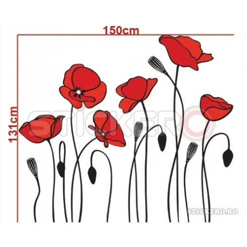 Set de Maci - sticker imprimat