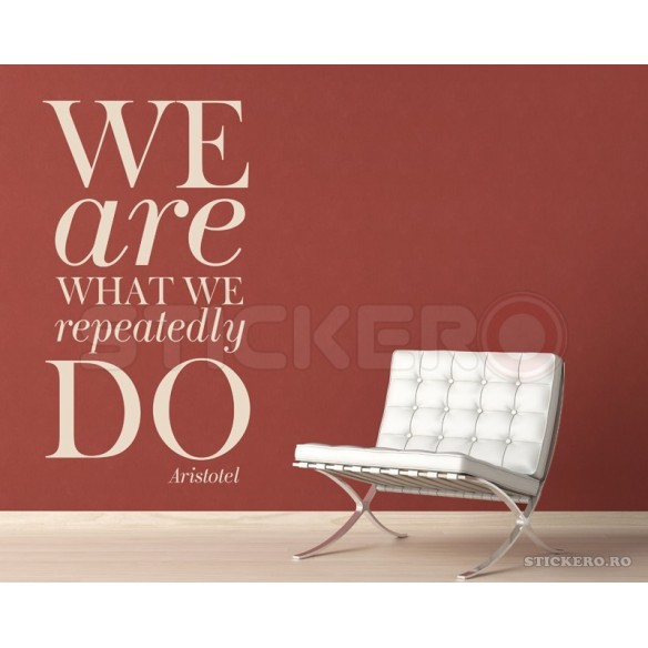 We are what we repeatedly do - sticker perete