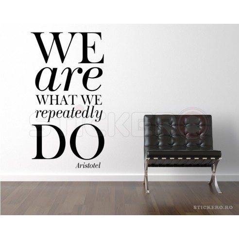 We are what we repeatedly do - sticker perete
