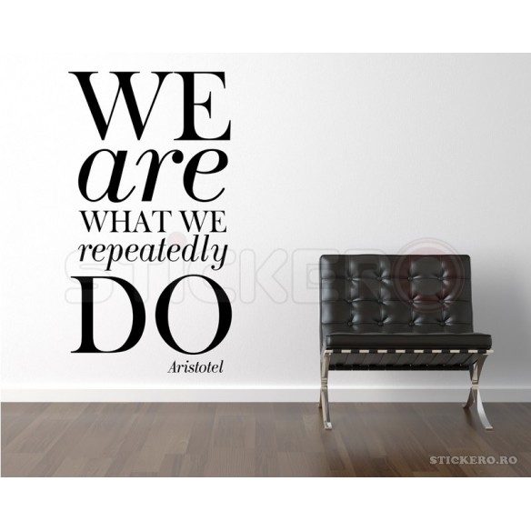 We are what we repeatedly do - sticker perete