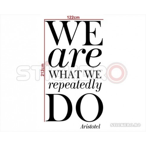 We are what we repeatedly do - sticker perete