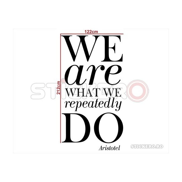 We are what we repeatedly do - sticker perete